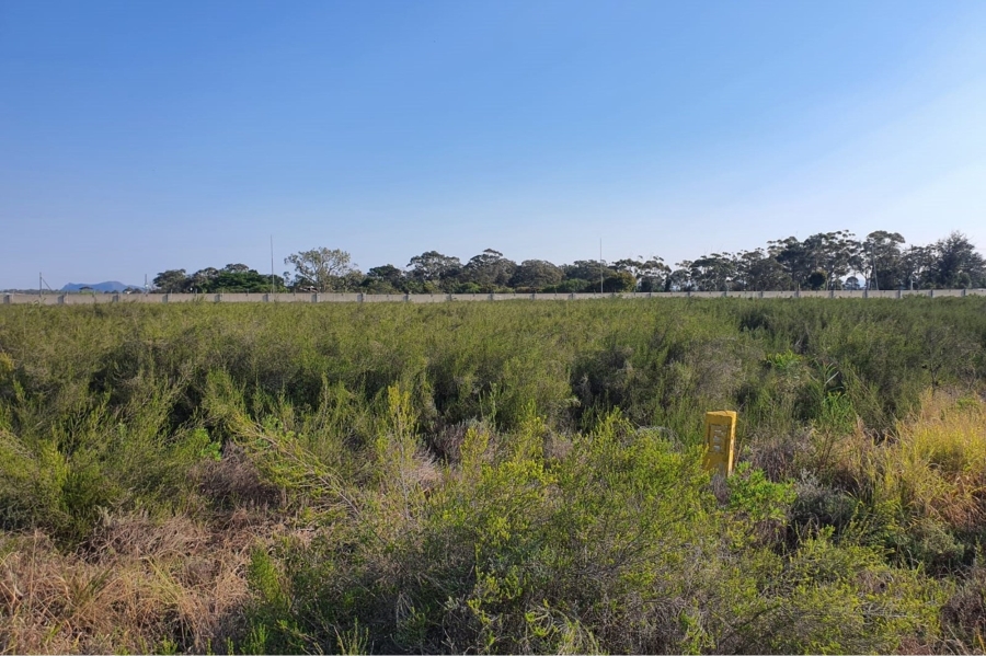 0 Bedroom Property for Sale in Greenbushes Eastern Cape